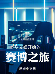 從文娛開始的賽博之旅