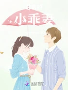 总裁的小乖妻在线阅读