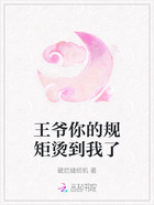 王爷你的规矩烫到我了在线阅读