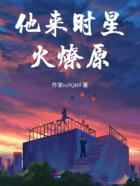 他来时星火燎原在线阅读