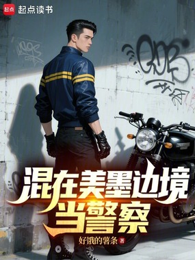 混在美墨边境当警察在线阅读