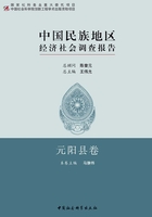 中国民族地区经济社会调查报告（元阳县卷）在线阅读