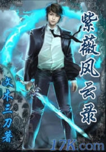 紫薇風云錄