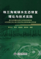 珠三角城镇水生态修复理论与技术实践