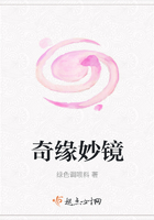 奇缘妙镜在线阅读