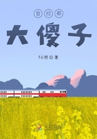 曾經那大傻子在線閱讀