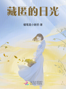 藏匿的日光