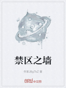 禁區之墻