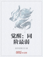 覺醒：同階最弱在線閱讀