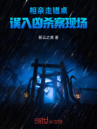 相亲走错桌:误入凶杀案现场在线阅读