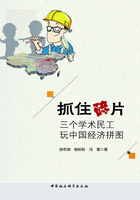 抓住碎片：三個學術民工玩中國經濟拼圖在線閱讀