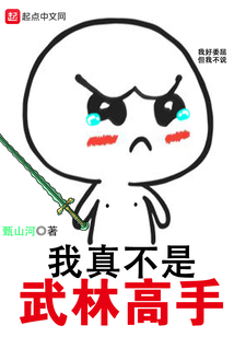 我真不是武林高手