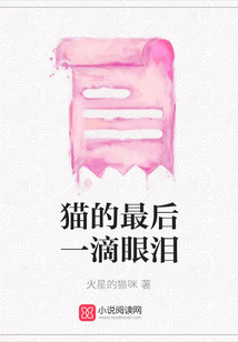 貓的最后一滴眼淚
