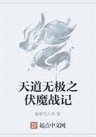 天道无极之伏魔战记在线阅读