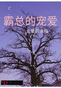 霸總的寵愛