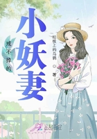 戒不掉的小妖妻在線閱讀