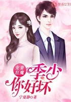 宠妻狂魔:季少你好坏