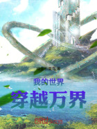 我的世界穿越萬界在線閱讀