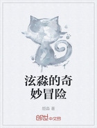 泫淼的奇妙冒险在线阅读