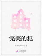 完美的犯在线阅读