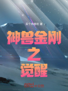 神兽金刚之觉醒在线阅读