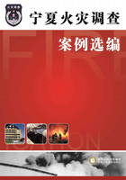 宁夏火灾调查案例选编在线阅读