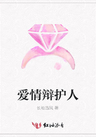愛情辯護人在線閱讀