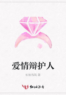 爱情辩护人