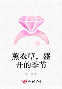 薰衣草,盛开的季节