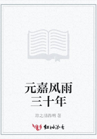 元嘉風雨三十年在線閱讀