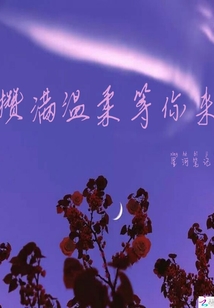攒满温柔等你来
