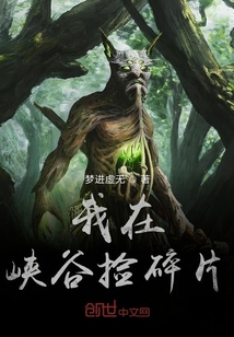 我在峽谷撿碎片