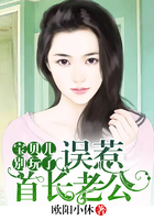 误惹高冷老公：宝贝儿，别玩了