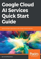 Google Cloud AI Services Quick Start Guide在线阅读