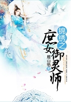 锦绣之庶女御灵师