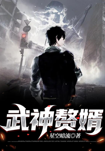 武神贅婿