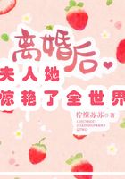 離婚后夫人她驚艷了全世界在線閱讀