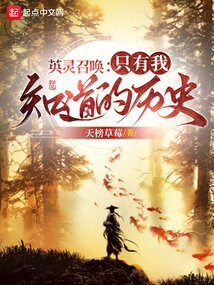 英灵召唤:只有我知道的历史 cover