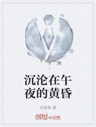 沉沦在午夜的黄昏在线阅读