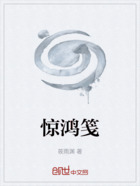 惊鸿笺在线阅读