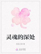 灵魂的深处在线阅读