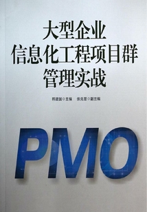 大型企業信息化工程項目群管理實戰：神華信息化PMO案例解析
