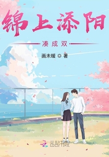 锦上添阳凑成双