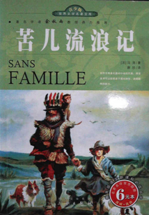 苦兒流浪記