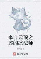 来自云顶之翼的冰法师在线阅读