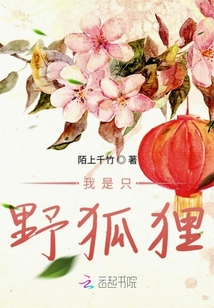 我是只野狐貍