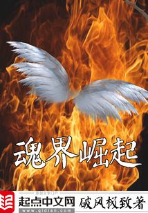 魂界崛起