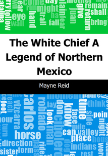 The White Chief: A Legend of Northern Mexico