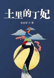 土里的丁妃