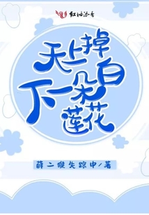 天上掉下一朵白蓮花